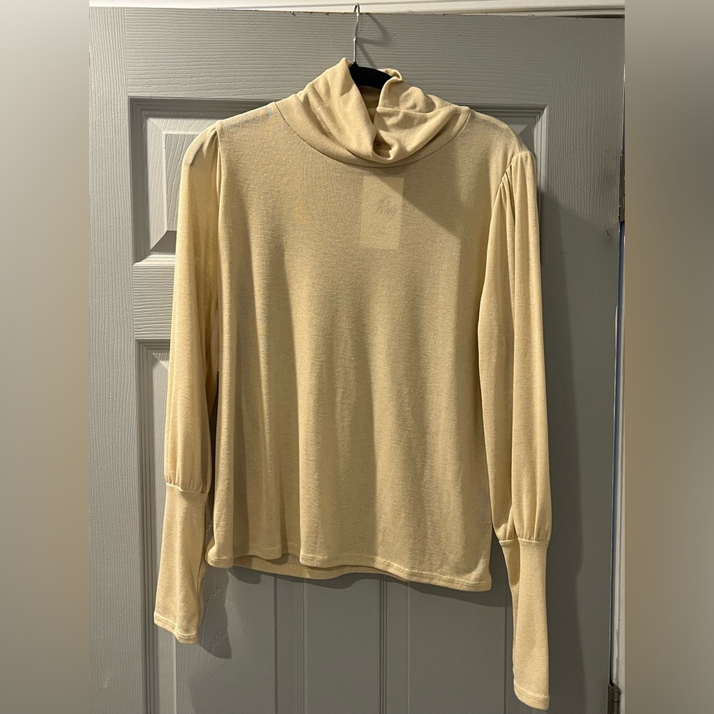 Balloon Sleeve Turtle Neck Blouse
